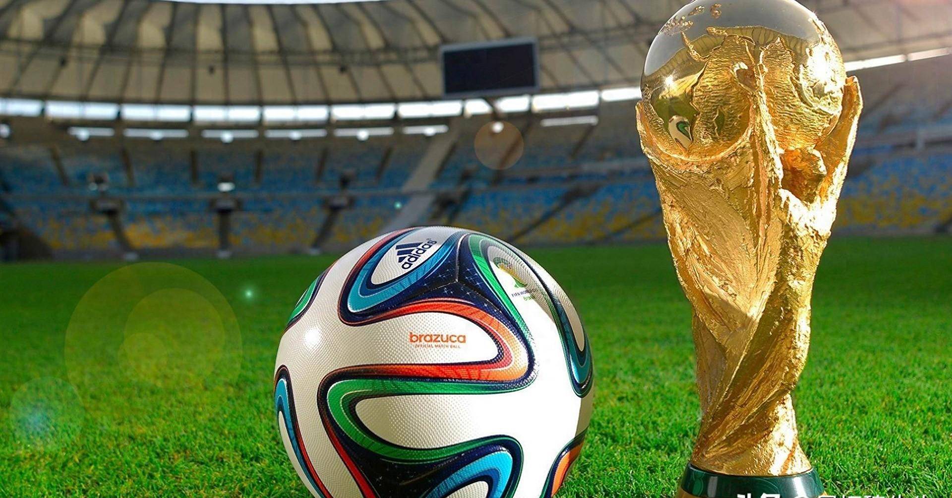 为这篇文章 为这篇文章